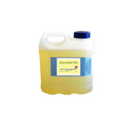 Grape Seed Massage Oil 1 Litre