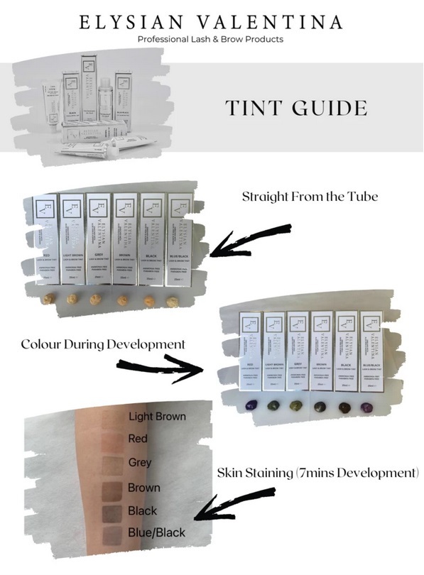 EV-Tint-Guide